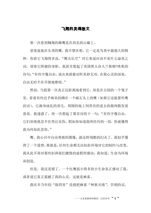 飞翔的灵魂散文