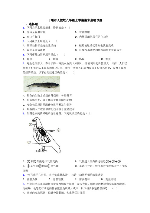 十堰市人教版八年级上学期期末生物试题