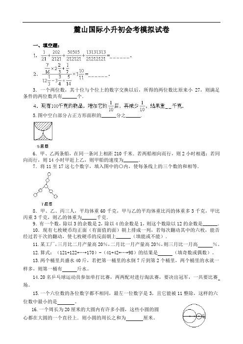 麓山国际小升初会考模拟试卷