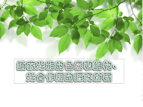 课件9：5.4.1 捕获光能的色素和结构、光合作用的探究历程