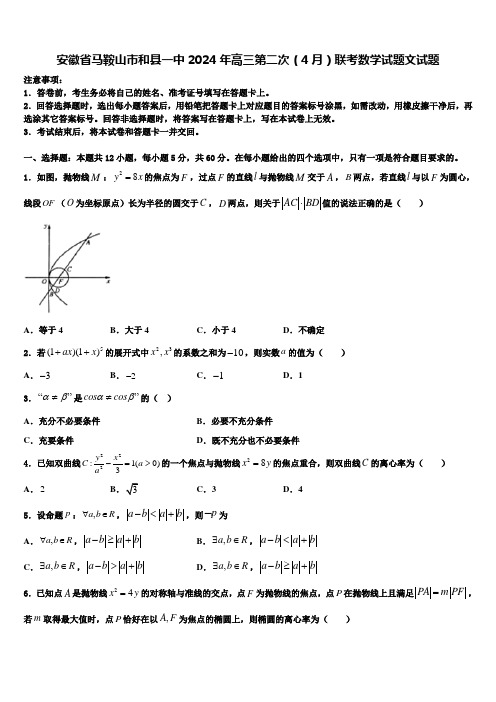 安徽省马鞍山市和县一中2024年高三第二次(4月)联考数学试题文试题