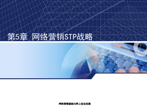 第5章网络营销STP战略