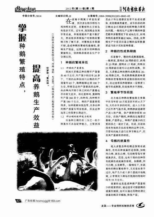掌握种鹅繁殖特点