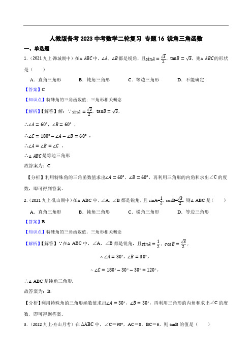 人教版备考2023中考数学二轮复习 专题16 锐角三角函数(教师版)