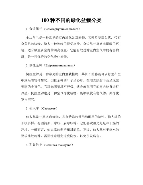 100种不同的绿化盆栽分类