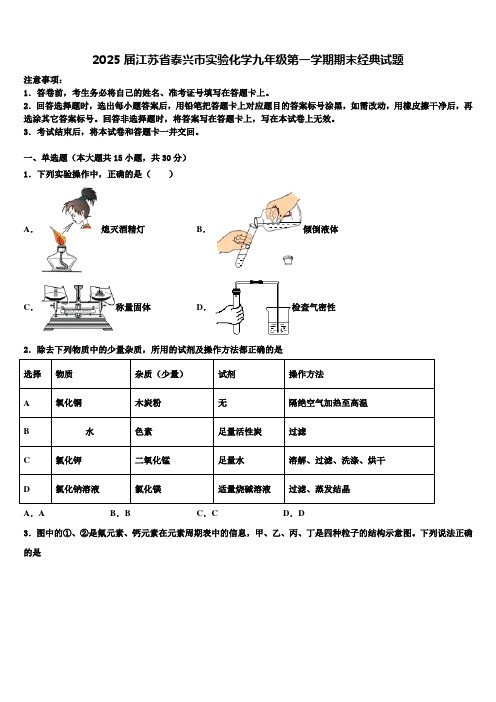 2025届江苏省泰兴市实验化学九年级第一学期期末经典试题含解析