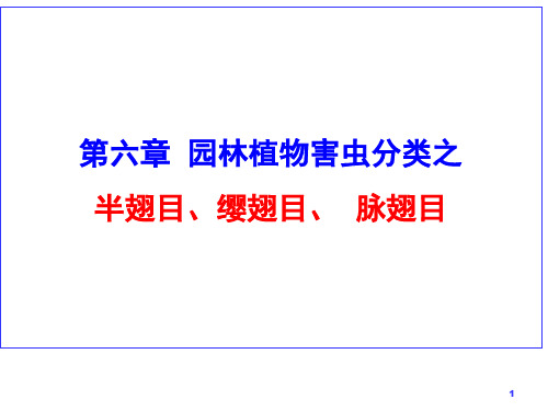 园林植物昆虫学课件第六章  园林植物害虫分类 半、缨、脉