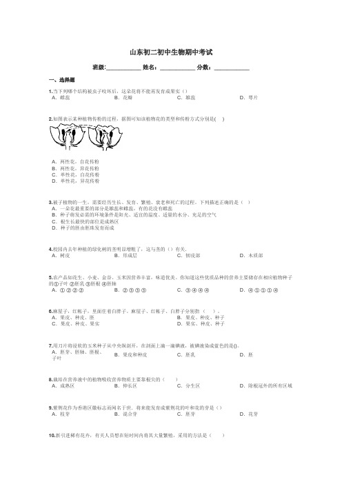 山东初二初中生物期中考试带答案解析
