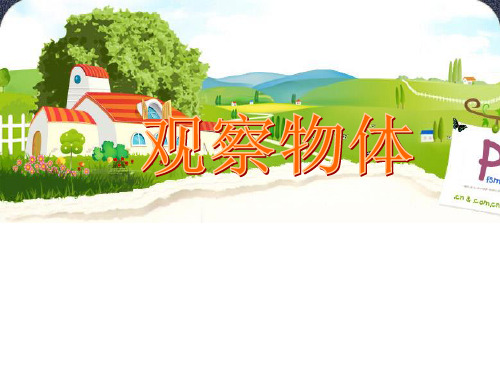 小学数学《 观察物体》ppt