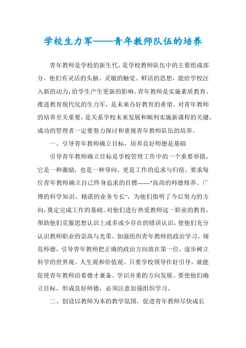 学校生力军——青年教师队伍的培养