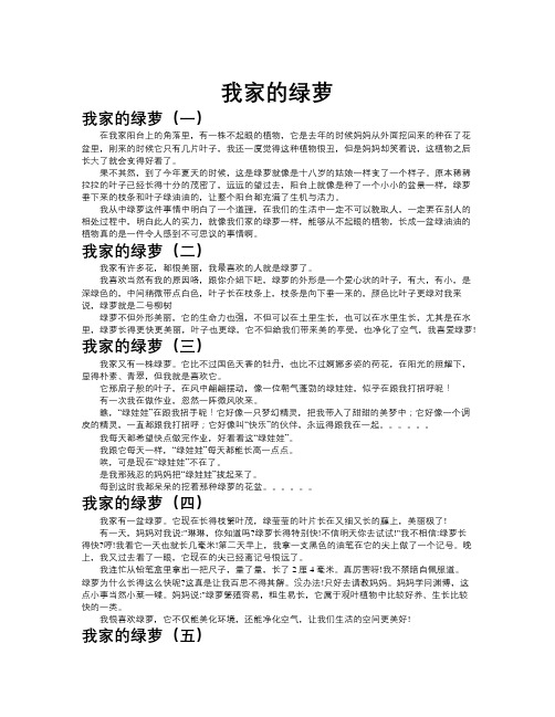 我家的绿萝作文共九篇