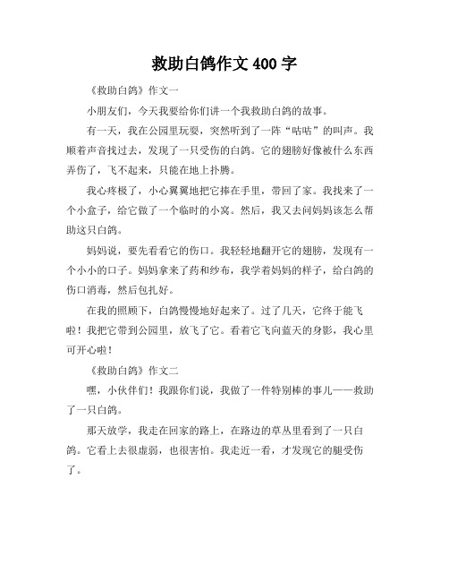 救助白鸽作文400字