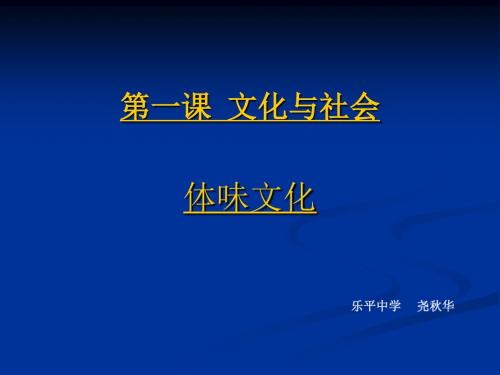 人教版高二政治第一单元第一课体味文化ppt课件