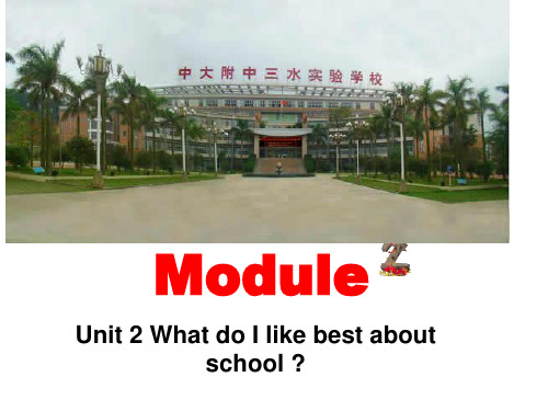 九年级英语下册外研版课件：Module 2 Unit 2