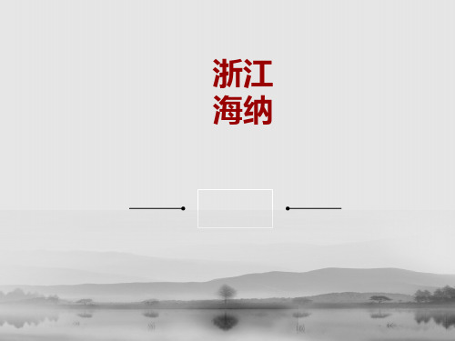 浙江海纳案例分析