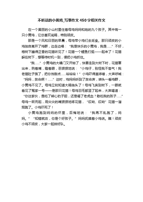 不听话的小黄鸡_写事作文450字相关作文