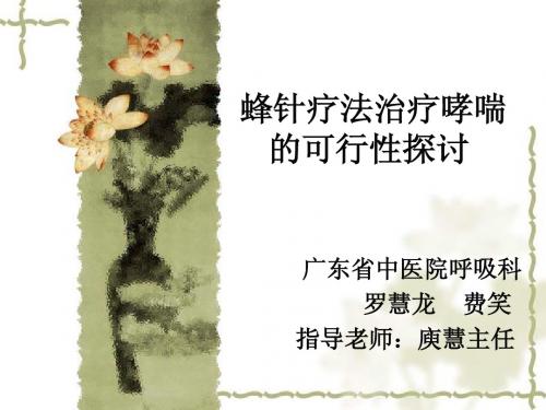 蜂针PPT