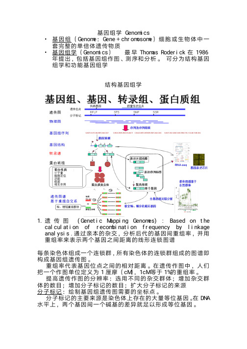 分子生物学---1基因组学-