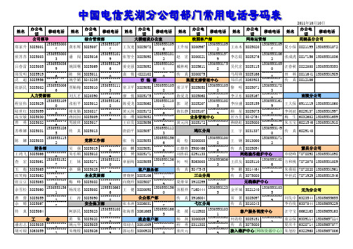 电话号码表1010