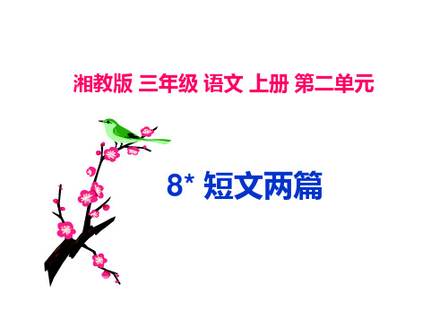 三年级上册语文课件-8 短文两篇|湘教版(共21张PPT)