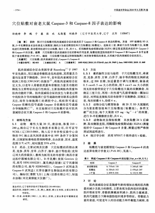 穴位贴敷对衰老大鼠Caspase-3和Caspase-8因子表达的影响