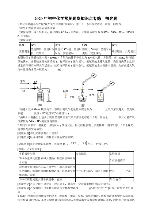 2020年初中化学常见题型知识点专练  探究题