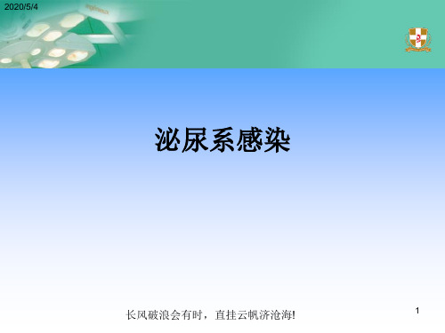 泌尿系感染指南