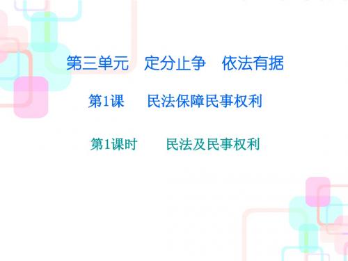 2017新粤教版八年级道德与法治上册第三单元 第一课 第一课时 民法及民事权利 (共28张PPT)