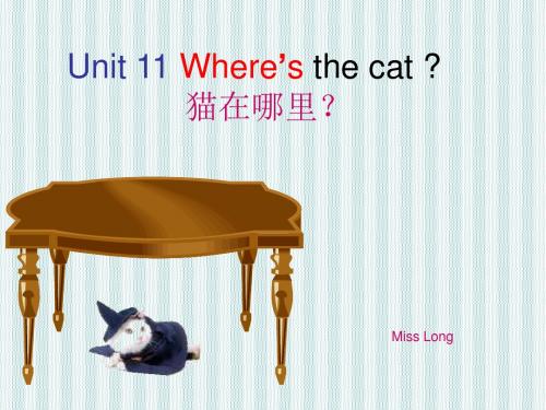 湘少版英语四上《Unit 11 Where’s the cat》