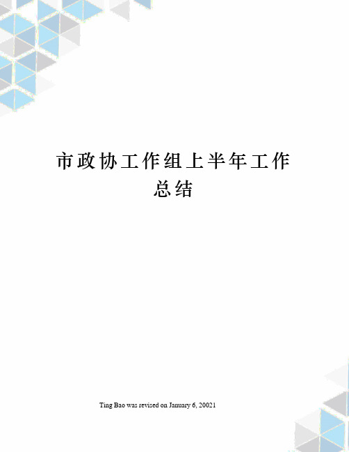 市政协工作组上半年工作总结