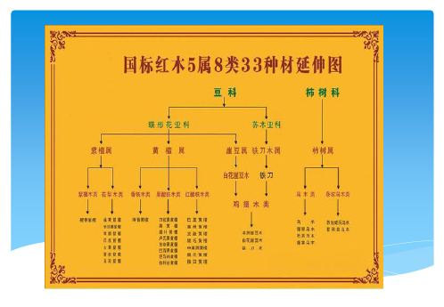 红木切面图