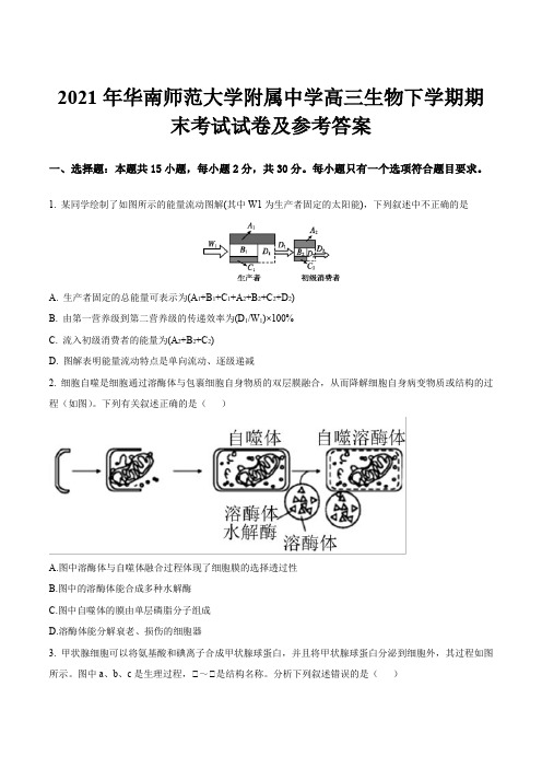 2021年华南师范大学附属中学高三生物下学期期末考试试卷及参考答案