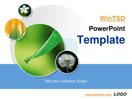 国外精美的经典PPT模板六：WinTSD _PowerTemplate6