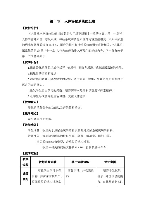 苏教版七年级生物下册《人体泌尿系统的组成》教案(1)-新版