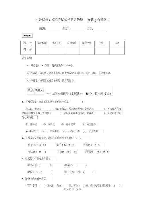 小升初语文模拟考试试卷新人教版B卷(含答案)