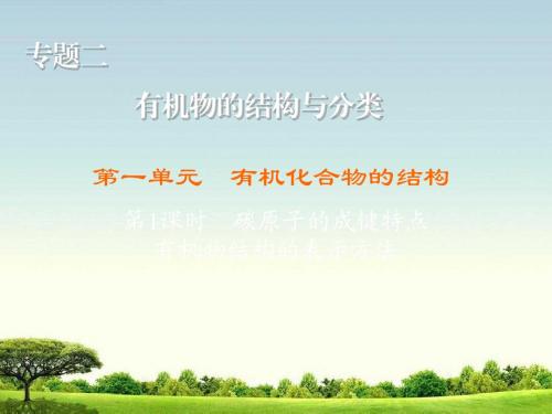 高中化学苏教版选修5练习课件:2.1.1 碳原子的成键特点 有机物结构的表示方法