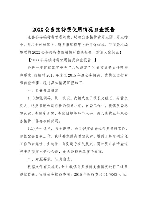 20xx公务接待费使用情况自查报告