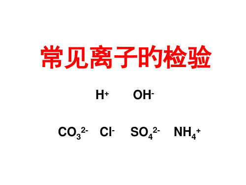 人教版初中化学常见离子的检验市公开课获奖课件省名师示范课获奖课件