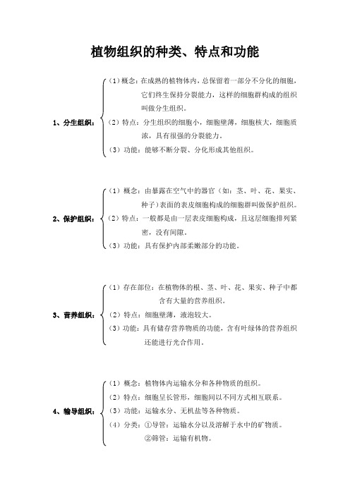 植物组织的种类、特点和功能