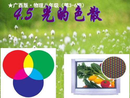 八年级物理课件上册4.5光的色散