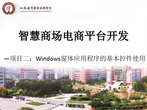 项目二：Windows窗体应用程序的基本控件使用(精)