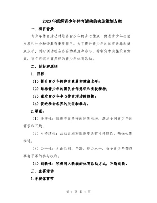 2023年组织青少年体育活动的实施策划方案