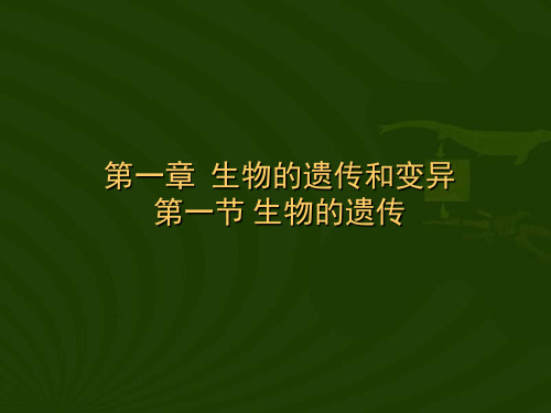 《生物的遗传》ppt精品课件 人教版