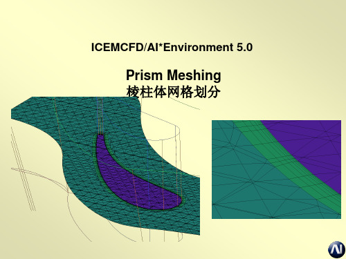 ICEM_CFD_基础教程_B3-棱柱体网格