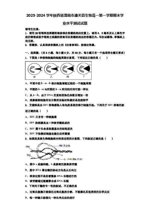 2023-2024学年陕西省渭南市潼关县生物高一第一学期期末学业水平测试试题含解析