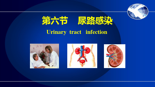 第六节 尿路感染PPT课件