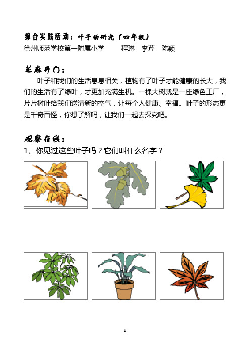 叶子的研究(四年级)