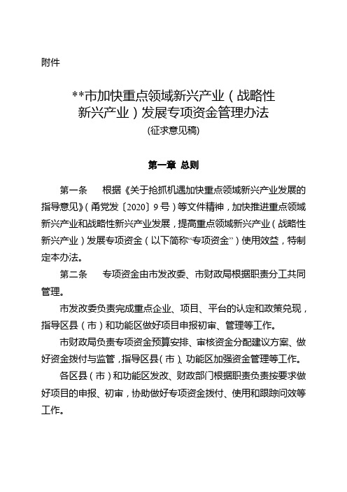 宁波市加快重点领域新兴产业(战略性新兴产业)发展专项资金管理办法【模板】