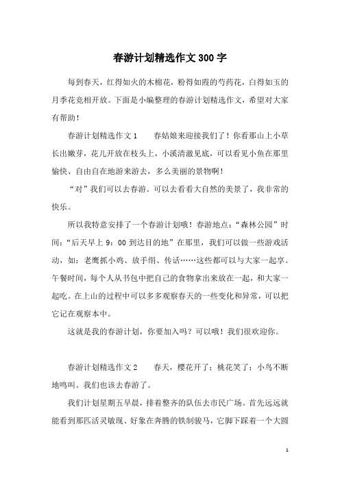 春游计划精选作文300字