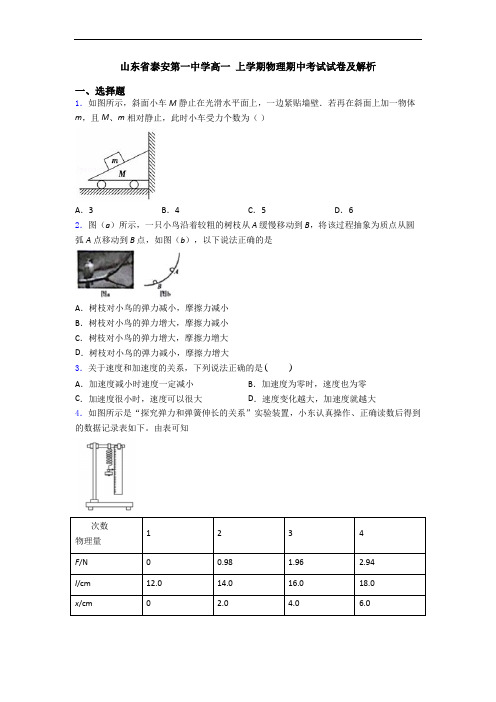 山东省泰安第一中学高一 上学期物理期中考试试卷及解析